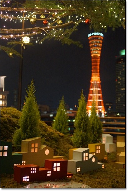 e0255037_81535.jpg