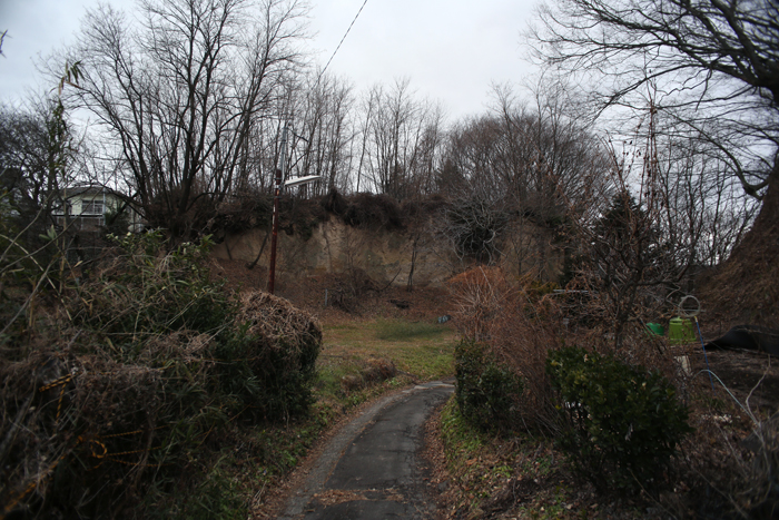 c0035245_3341666.jpg