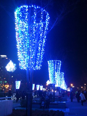e0100046_15545890.jpg
