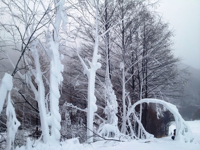 雪のアートアーチ!!_e0248949_23214929.jpg