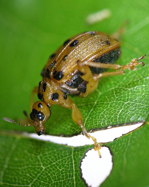 e0035757_18231090.jpg