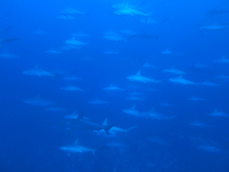 d0113459_21205162.jpg
