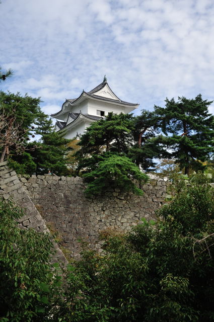 日本有数の高石垣がある城_c0081462_21145278.jpg