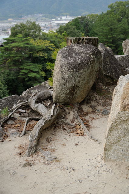 日本有数の高石垣がある城_c0081462_21155138.jpg