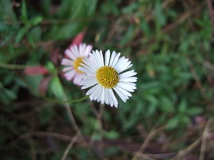 e0225164_6534963.jpg