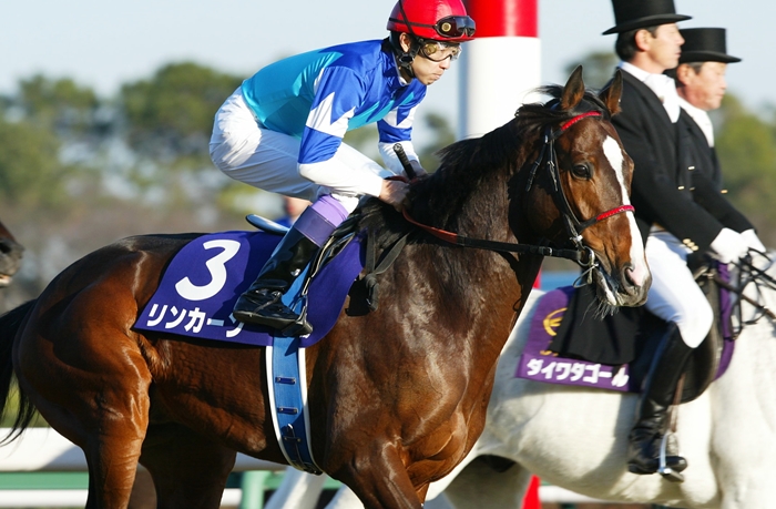 21世紀有馬記念小史3 2003年 : Turfに魅せられて 21世紀有馬記念小史3 2003年 : Turfに魅せられて
