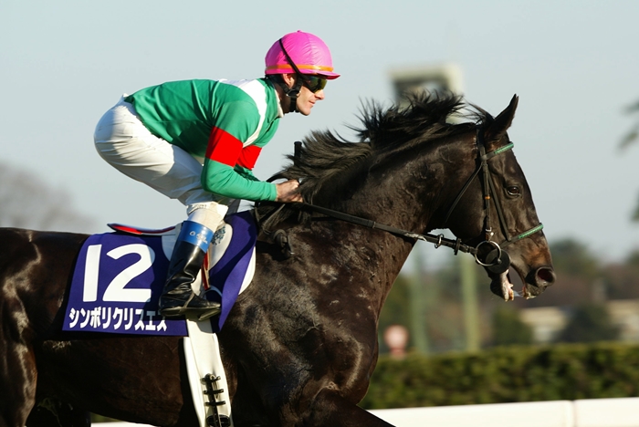 新品未開封　シンボリクリスエス　有馬記念　  アバンティー　Ｓサイズ G1復刻】シンボリクリスエス連覇で有終の美 有馬史上最大9馬身