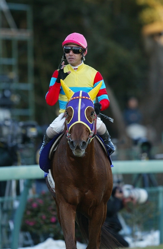21世紀有馬記念小史3 2003年 : Turfに魅せられて（写真紀行）