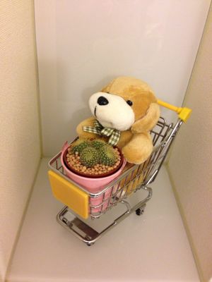 誕プレその2_f0134268_1942401.jpg
