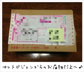 f0168374_22163815.png