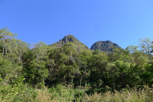 f0178278_10355373.jpg