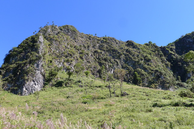 f0178278_10491550.jpg