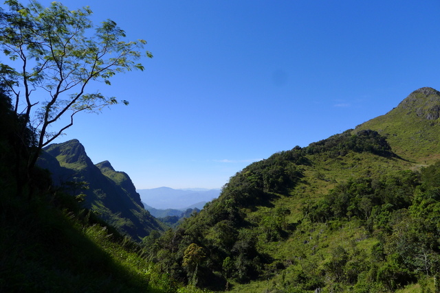 f0178278_10521765.jpg