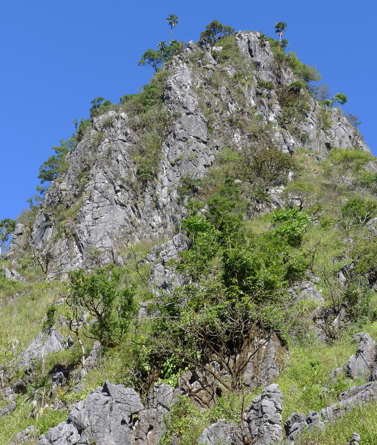 f0178278_10572495.jpg