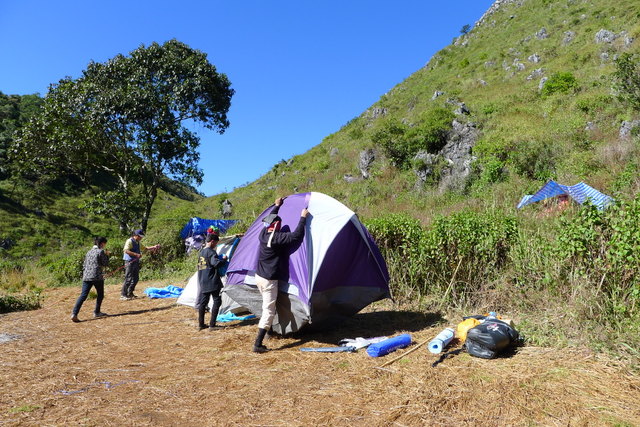 f0178278_1101177.jpg