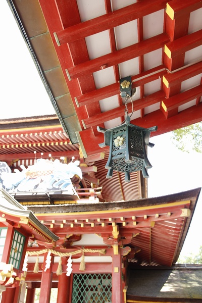 c0133181_0164147.jpg