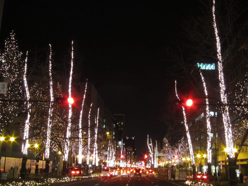 壮観！まばゆい光を放つ街路樹が導くファンタジー・御堂筋イルミネーションーOSAKA光のルネサンス2012②_e0138081_1374029.jpg