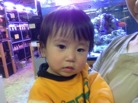 12/20 店長日記_e0173381_1810076.jpg