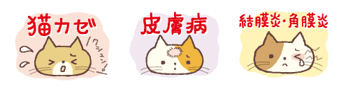 c0195484_22321739.gif