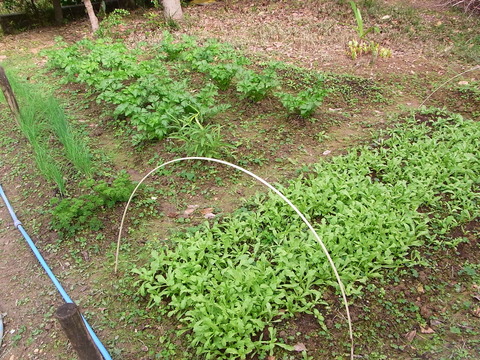 e0158687_10542999.jpg
