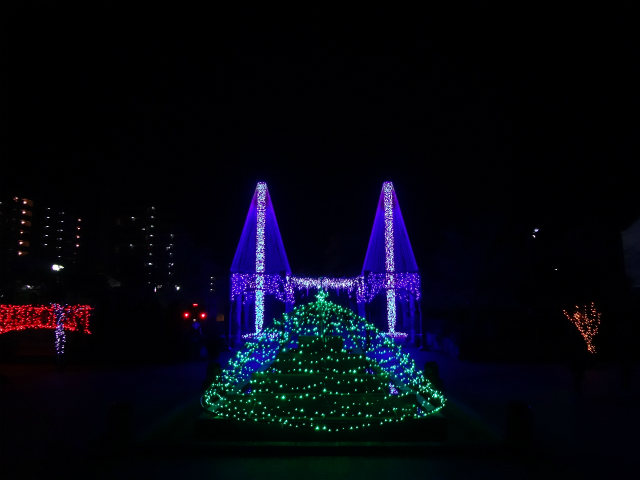 b0190092_2132970.jpg