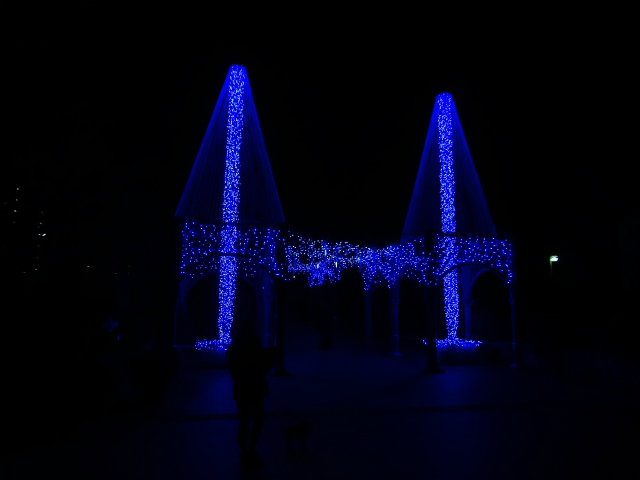 b0190092_2134430.jpg