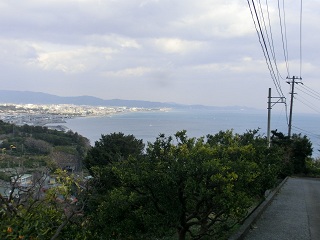d0156797_1361545.jpg