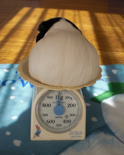 c0241498_22281937.jpg