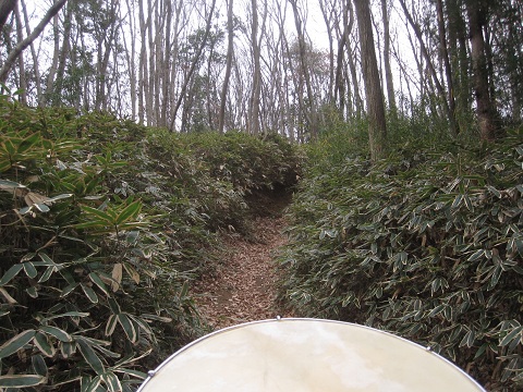 c0158301_1726253.jpg