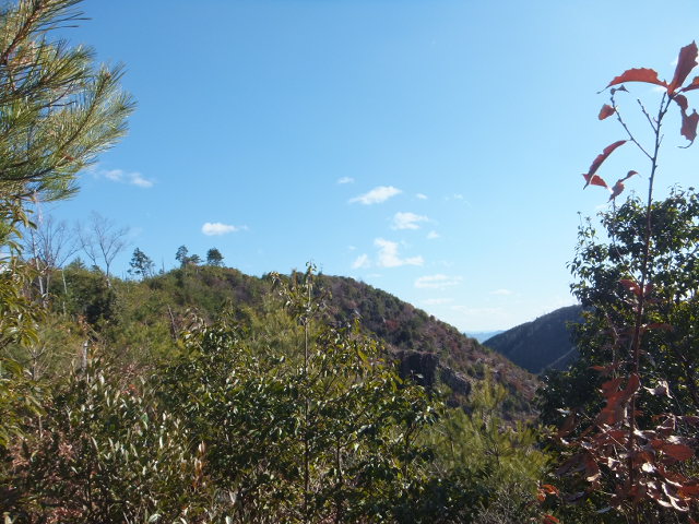 a0271502_16495811.jpg
