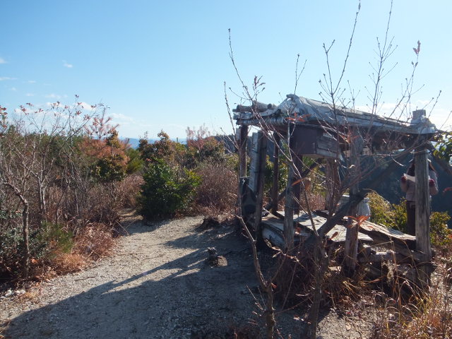 a0271502_17254034.jpg