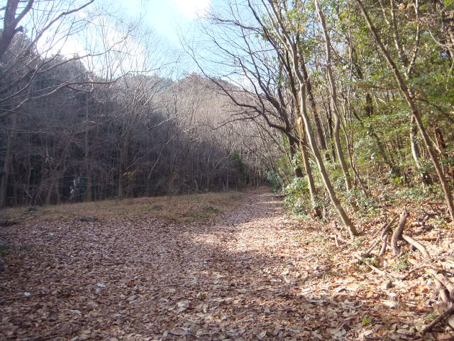 a0271502_1754429.jpg