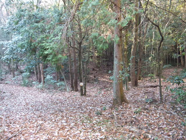 a0271502_17715100.jpg