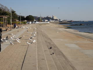 f0213805_235234.jpg