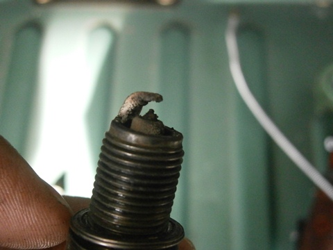 a0145207_2218544.jpg