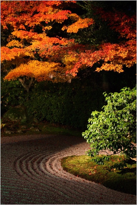 京都紅葉ぶらり旅vol.10　　東山　圓徳院_b0180907_20554831.jpg