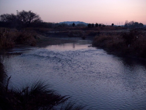 天白川　蓮田　小川　調整池　　　’12/12/21_d0048812_20584411.jpg