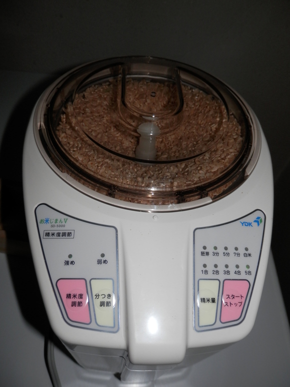2012「柚子のアチャール」入荷いたしました☆_a0125419_7474913.jpg