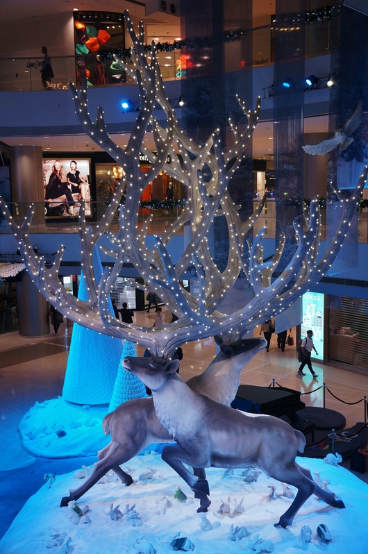 e0267820_136711.jpg