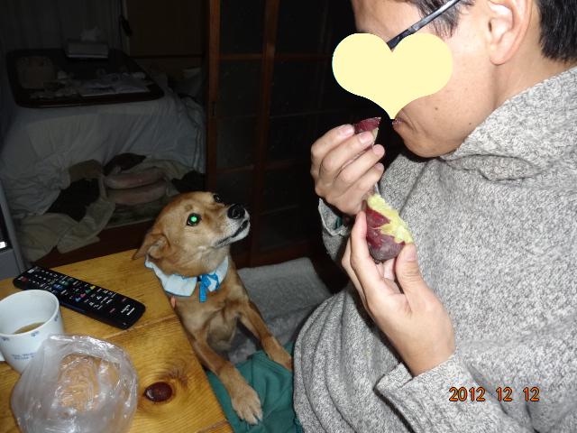 d0046821_1032333.jpg