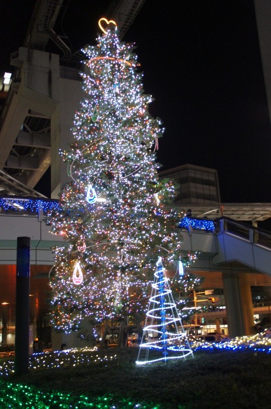a0122932_14331263.jpg