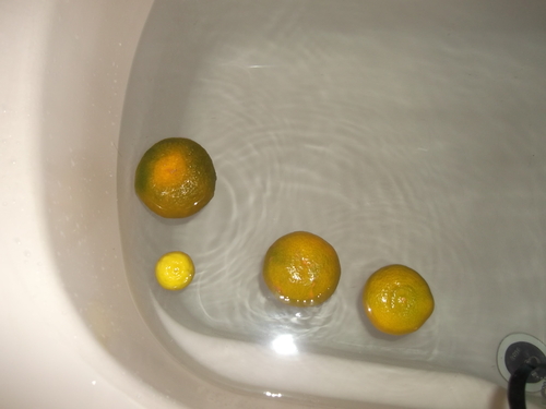 冬至...ゆず湯とかぼちゃ_b0137932_2228896.jpg