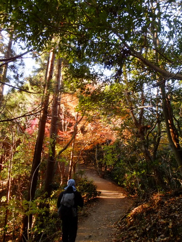 b0281732_18441390.jpg