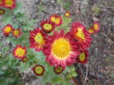 a0054240_2201348.jpg