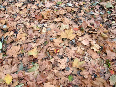 b0019140_17281736.jpg