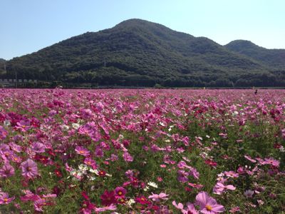 f0019541_9303374.jpg