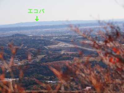 c0119142_6155246.jpg