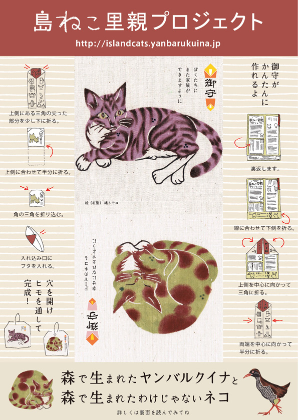 森で生まれたヤンバルクイナ と 森で生まれたわけじゃないネコ_c0191542_10155081.jpg