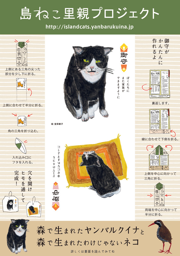 森で生まれたヤンバルクイナ と 森で生まれたわけじゃないネコ_c0191542_10162071.jpg