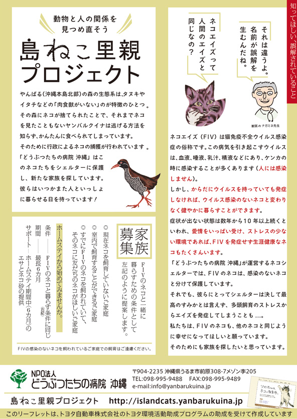森で生まれたヤンバルクイナ と 森で生まれたわけじゃないネコ_c0191542_1033343.jpg